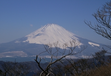 Mt. Fuji