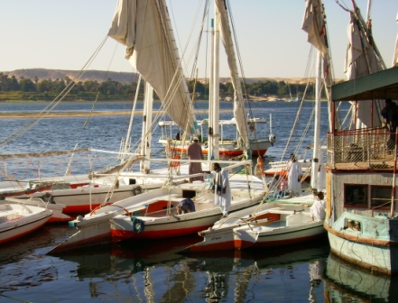 Traditional feluccas sailing on the Nile