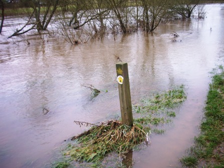 The very flooded Wye River