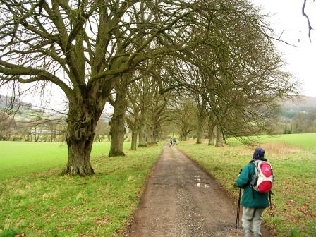 The long and winding road that leads to your door