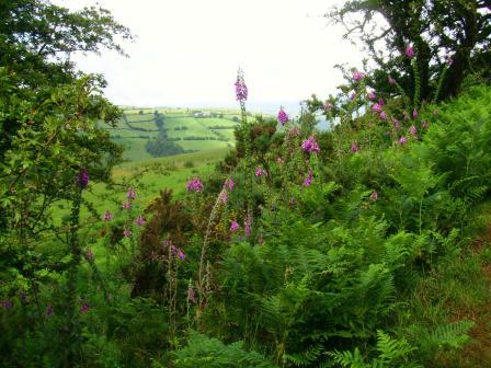 The beauty of Wales