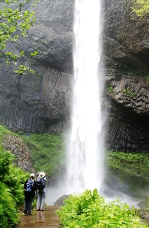 Lush rainforest and waterfalls