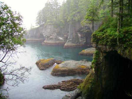 Cape Flattery Trail
