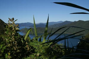Queen Charlotte Track, New Zealand
