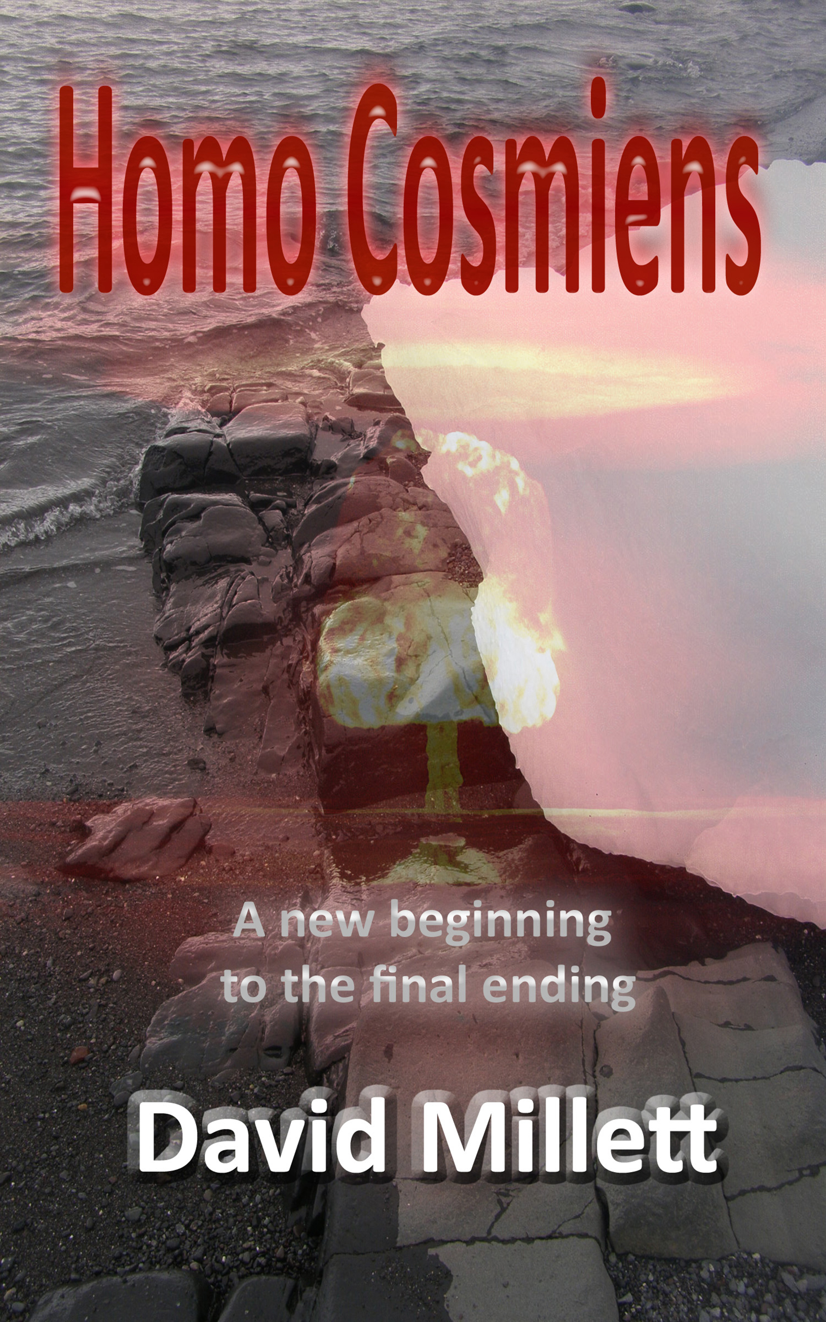 Homo Cosmiens Cover