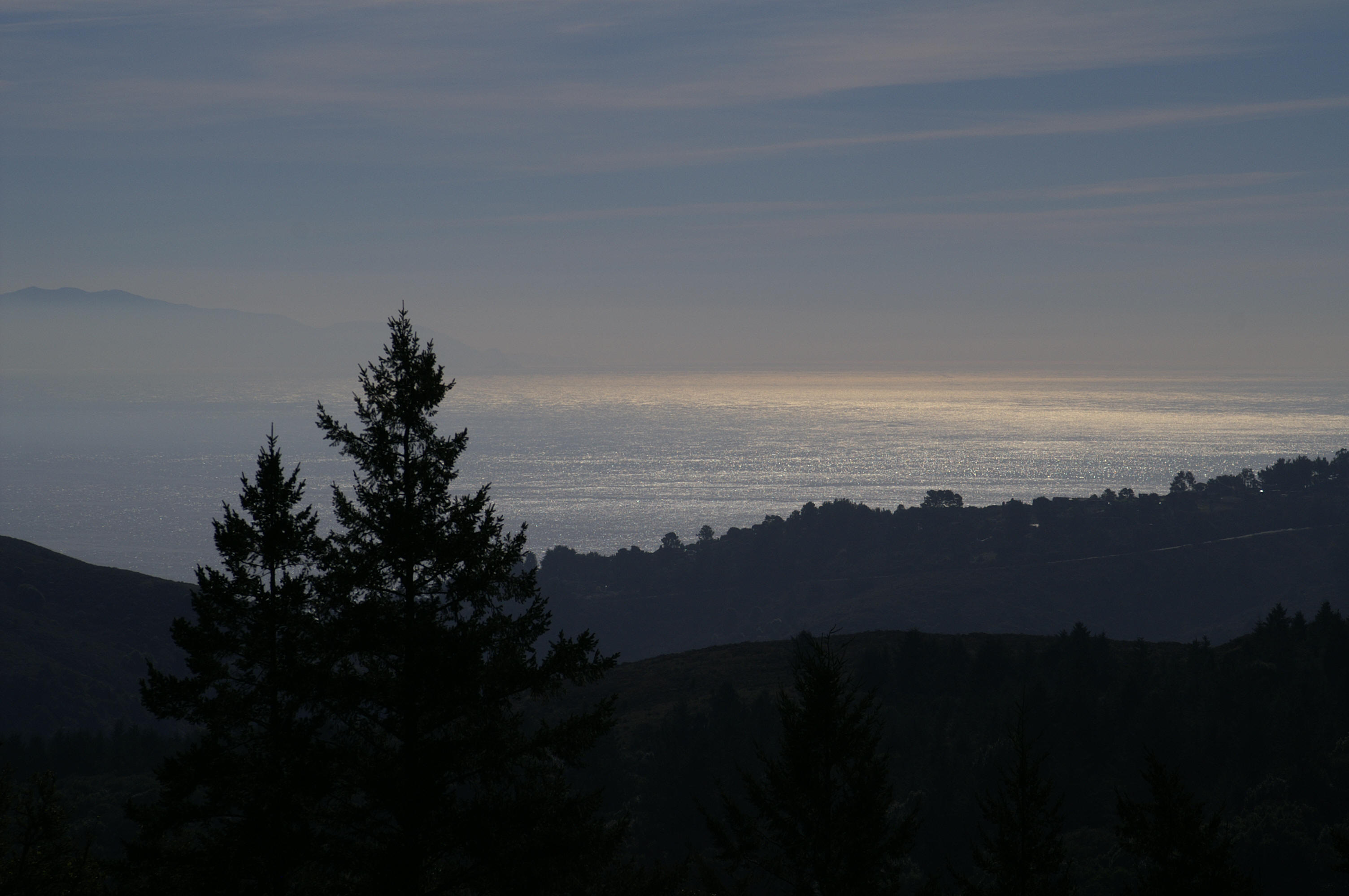 View from the Dipsea trail