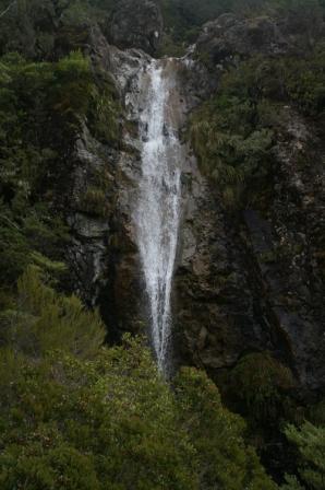 New Zealand beauty