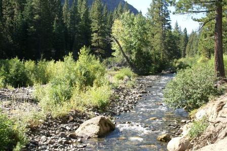 Wolf Creek