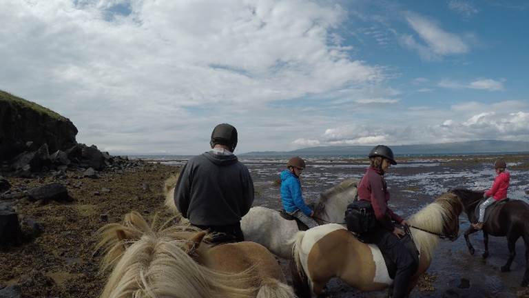 A group of people riding on the back of a horse

Description generated with very high confidence