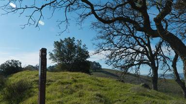 Scenic view of Mount Diablo State Park