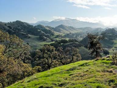 Mount Diablo view