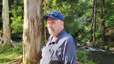 Tarra Bulga National Park