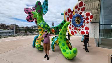 Sydney Art Gallery