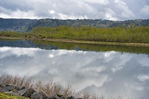 A river with trees and a cloudy sky